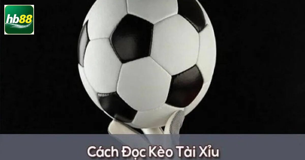 Cách Đọc Tài Xỉu 3.5 Và Một Số Lưu Ý Cho Người Mới 4 Ví dụ về cách đọc tài xỉu 3.5