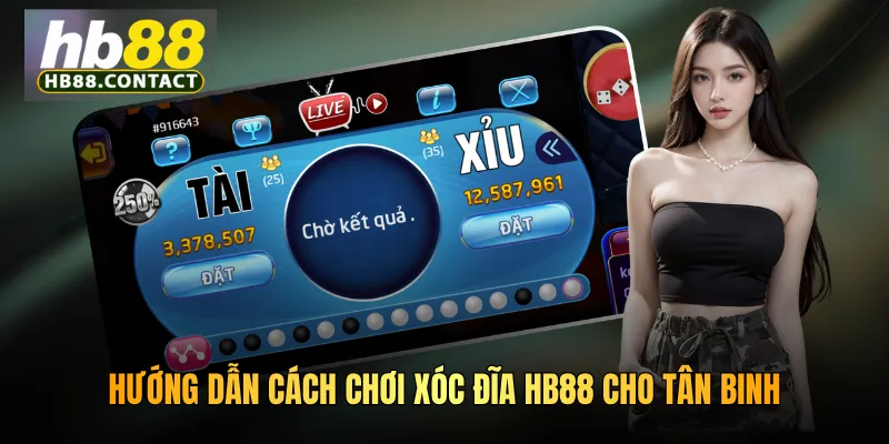 Cách Chơi Xóc Đĩa HB88 - Bí Kíp Giành Chiến Thắng Hiệu Quả 3 Hướng dẫn cách chơi xóc đĩa HB88 cho tân binh